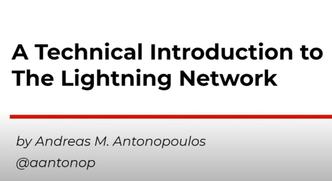 The Lightning Network