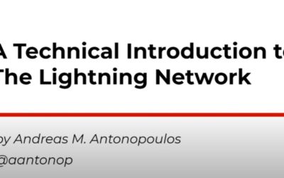 The Lightning Network